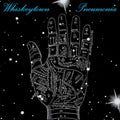 Whiskeytown - Pneumonia [Clearwater Blue] [2Lp] |