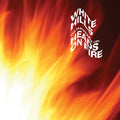 The Revenge of Heads on Fire Music CD