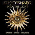 Into the Light Vinyl Record
