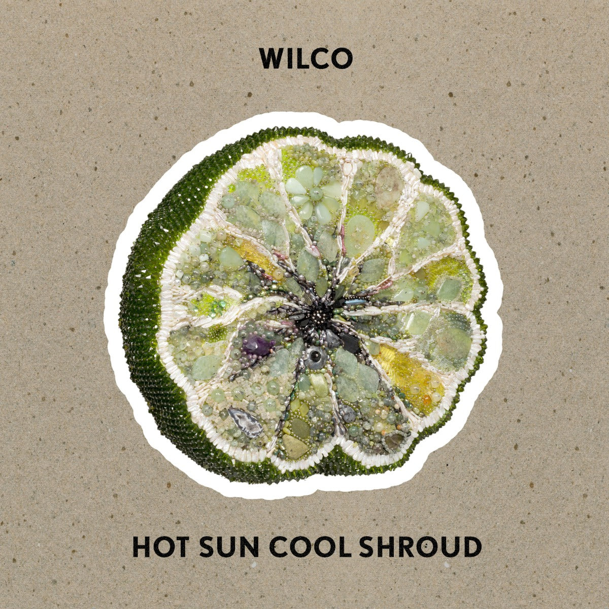 Hot Sun Cool Shroud Vinyl Record