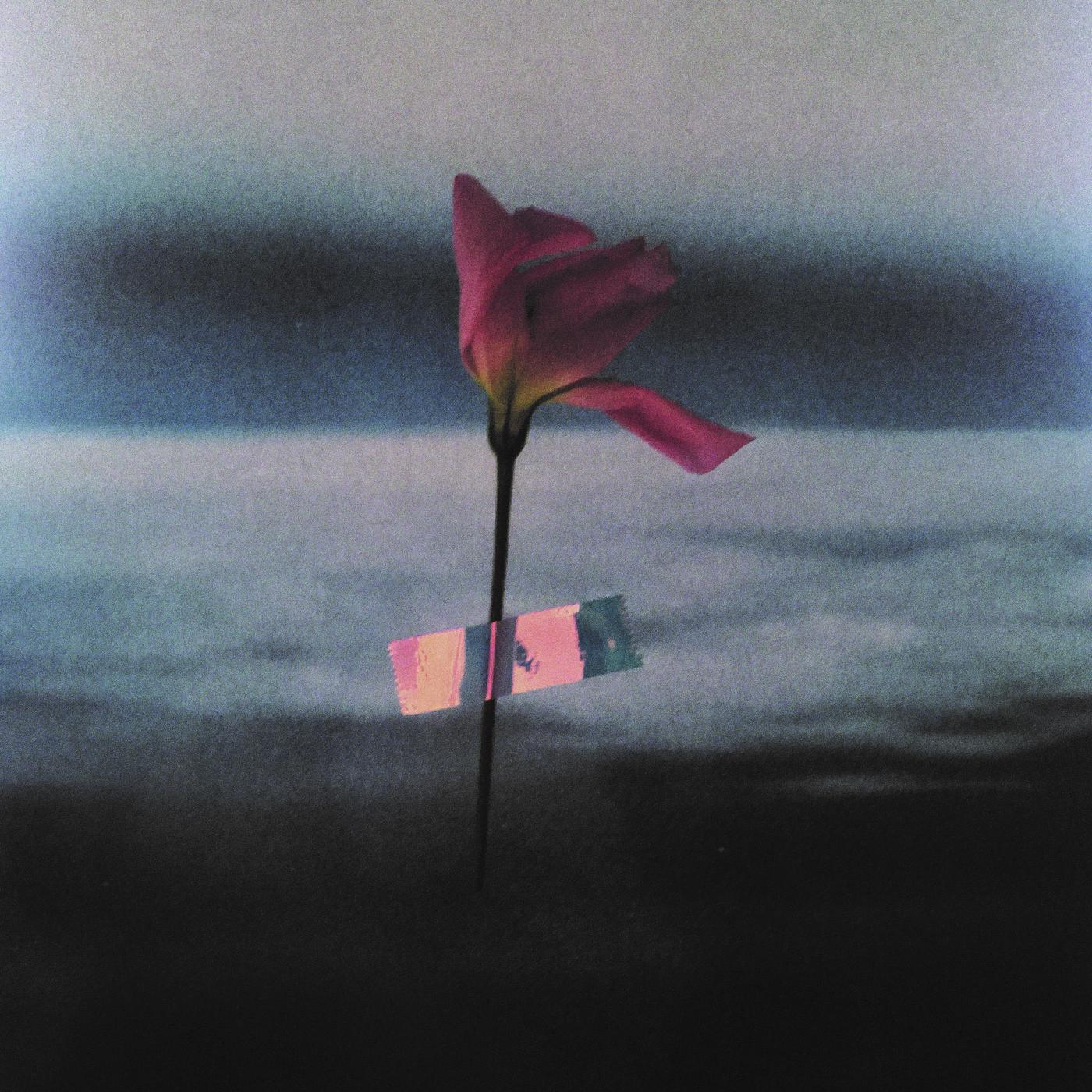 Paralanguage Music CD