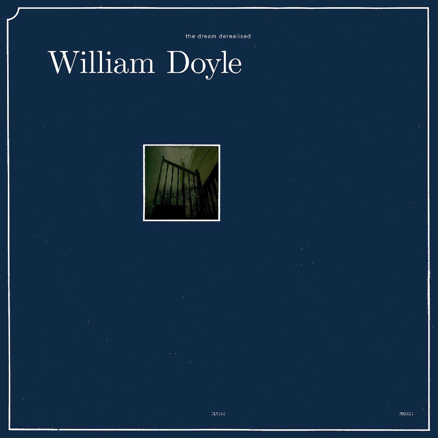 The Dream Derealised Vinyl Record