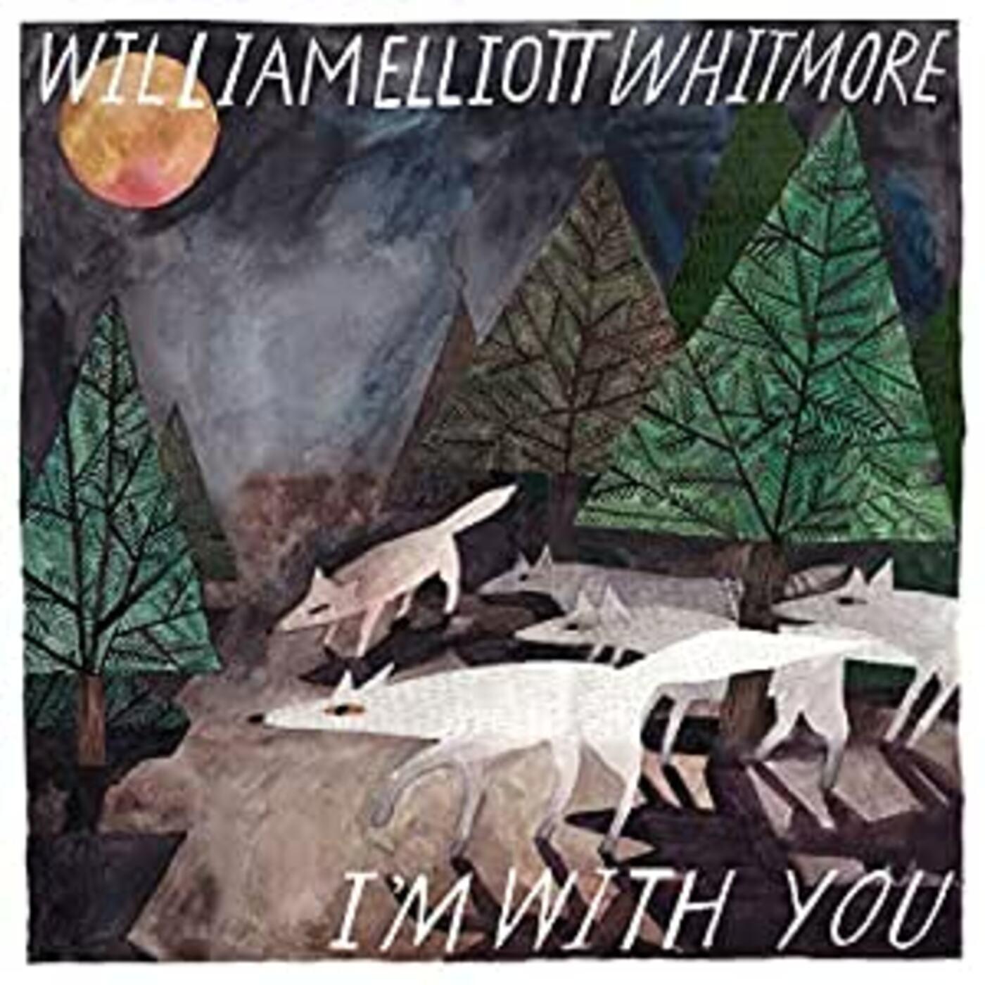 I'm With You Music CD