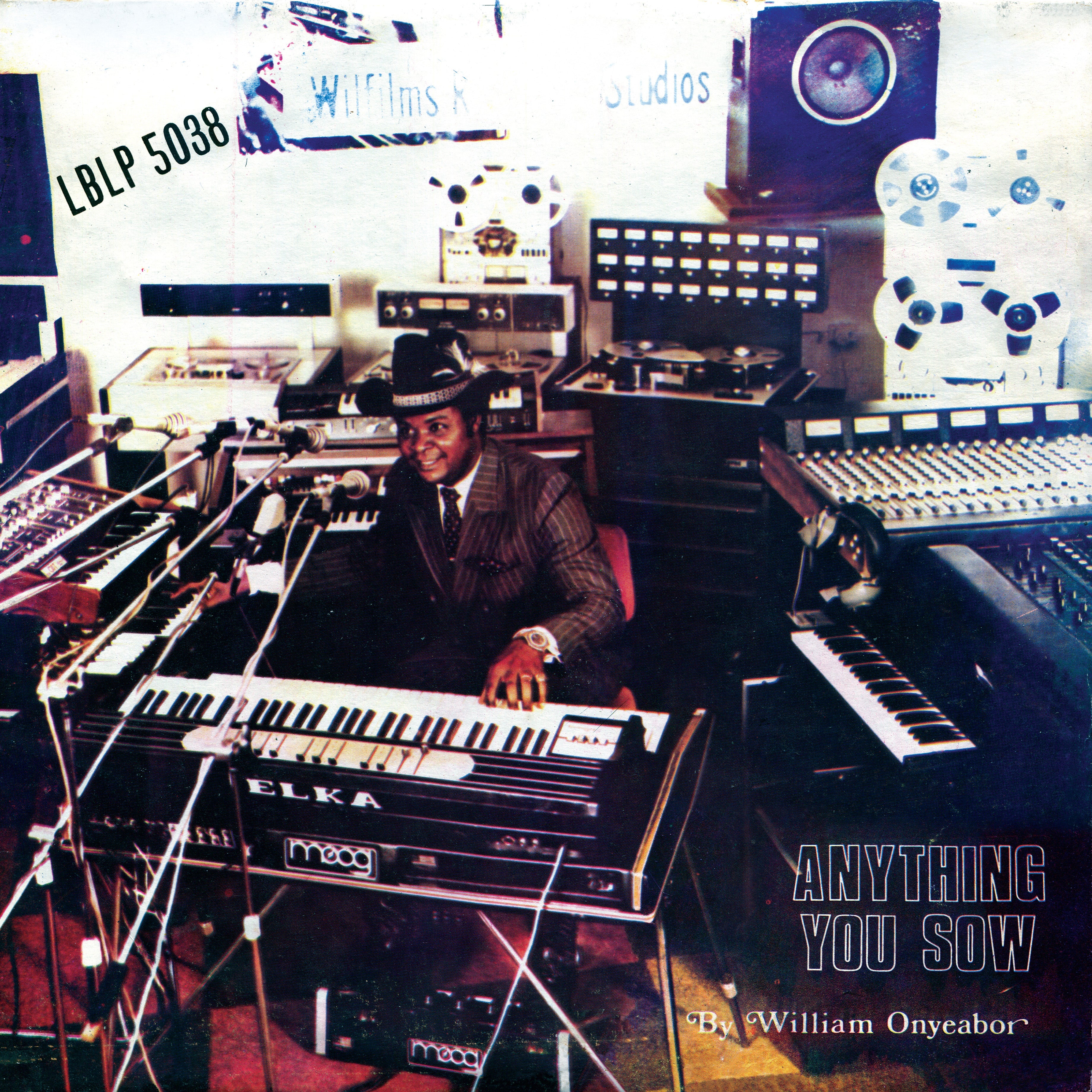 Anything You Sow Vinyl Record