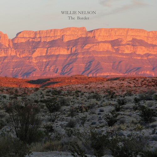 Willie Nelson The Border Vinyl Record