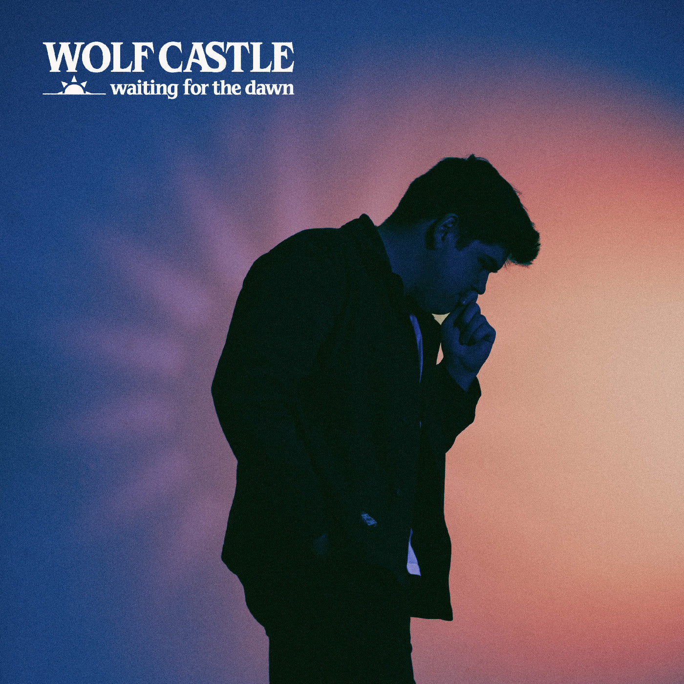 (PRE-ORDER 12/5/25) Waiting For The Dawn (VINYL) | Mint (M) Mint (M)