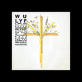PRE-ORDER Wu Lyf - A Wave That Will Never Break [Vinyl] Vinyl Record