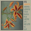 Blumenfantasie Vinyl Record