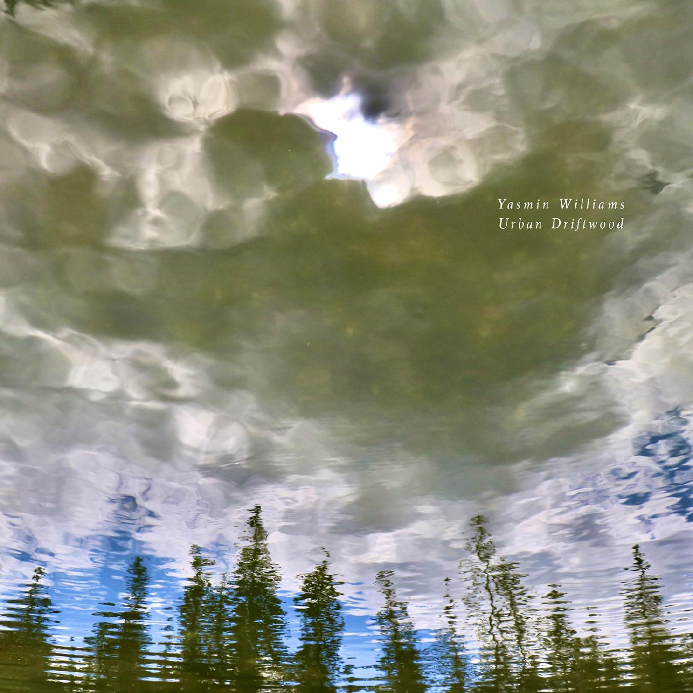 Urban Driftwood Music CD