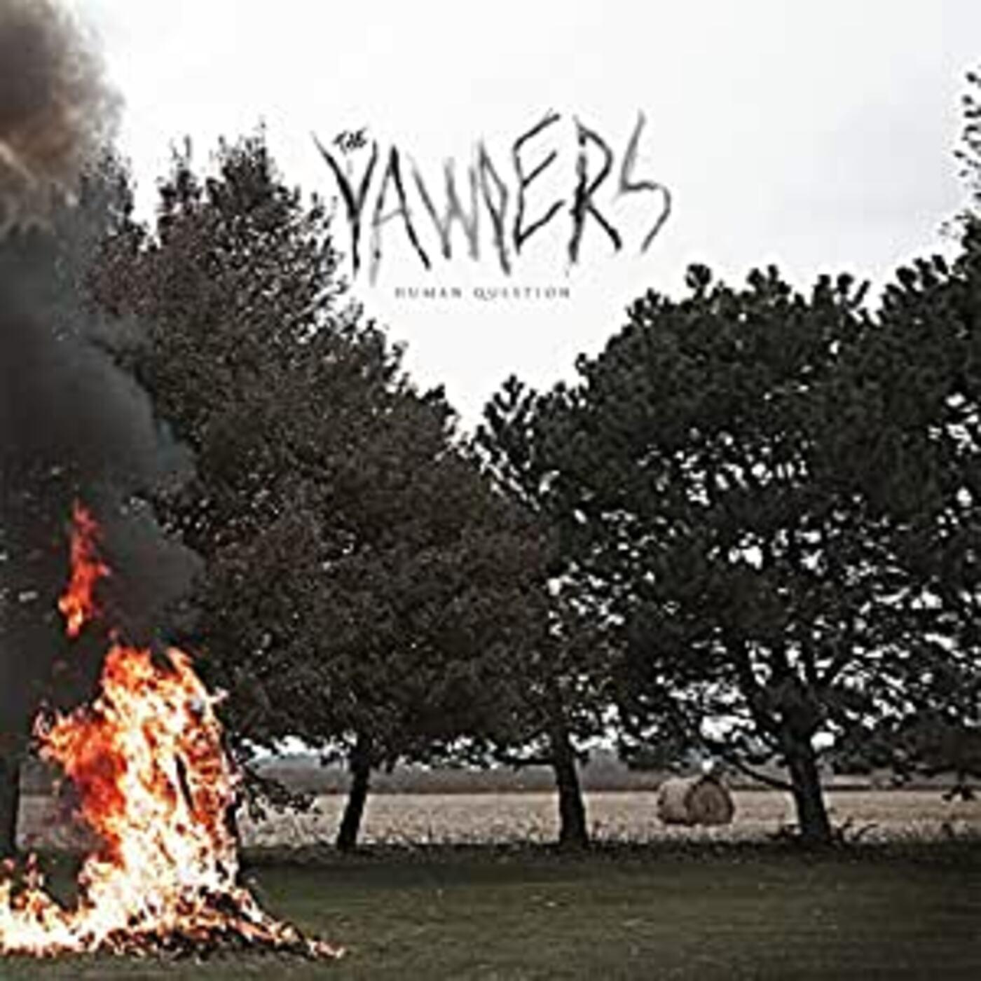 Human Question Vinyl Record