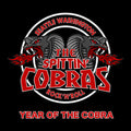 Year of the Cobra Vinyl Record