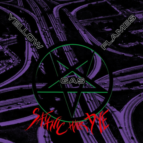 Satanic Hair Dye Vinyl Record