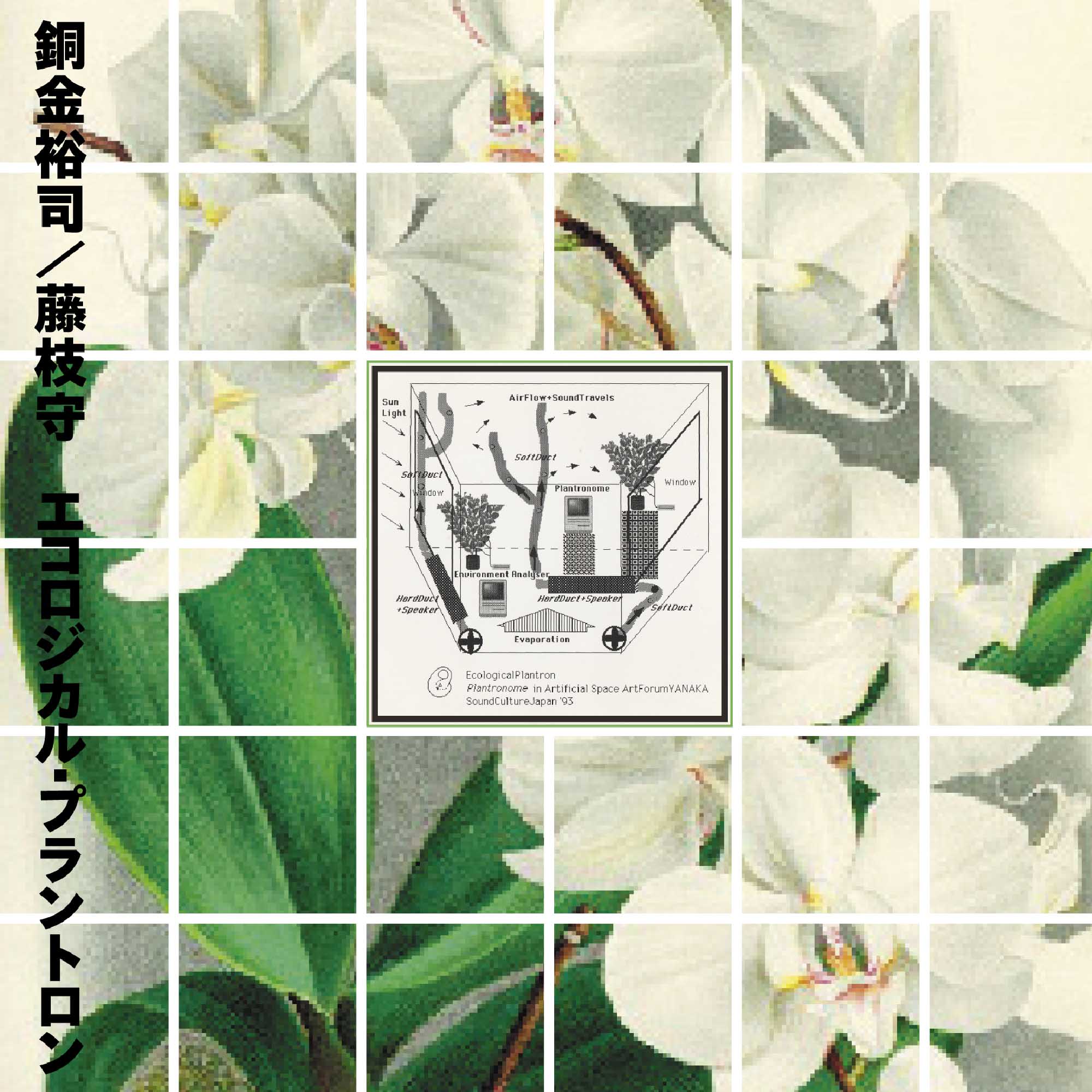 Ecological Plantron Vinyl Record