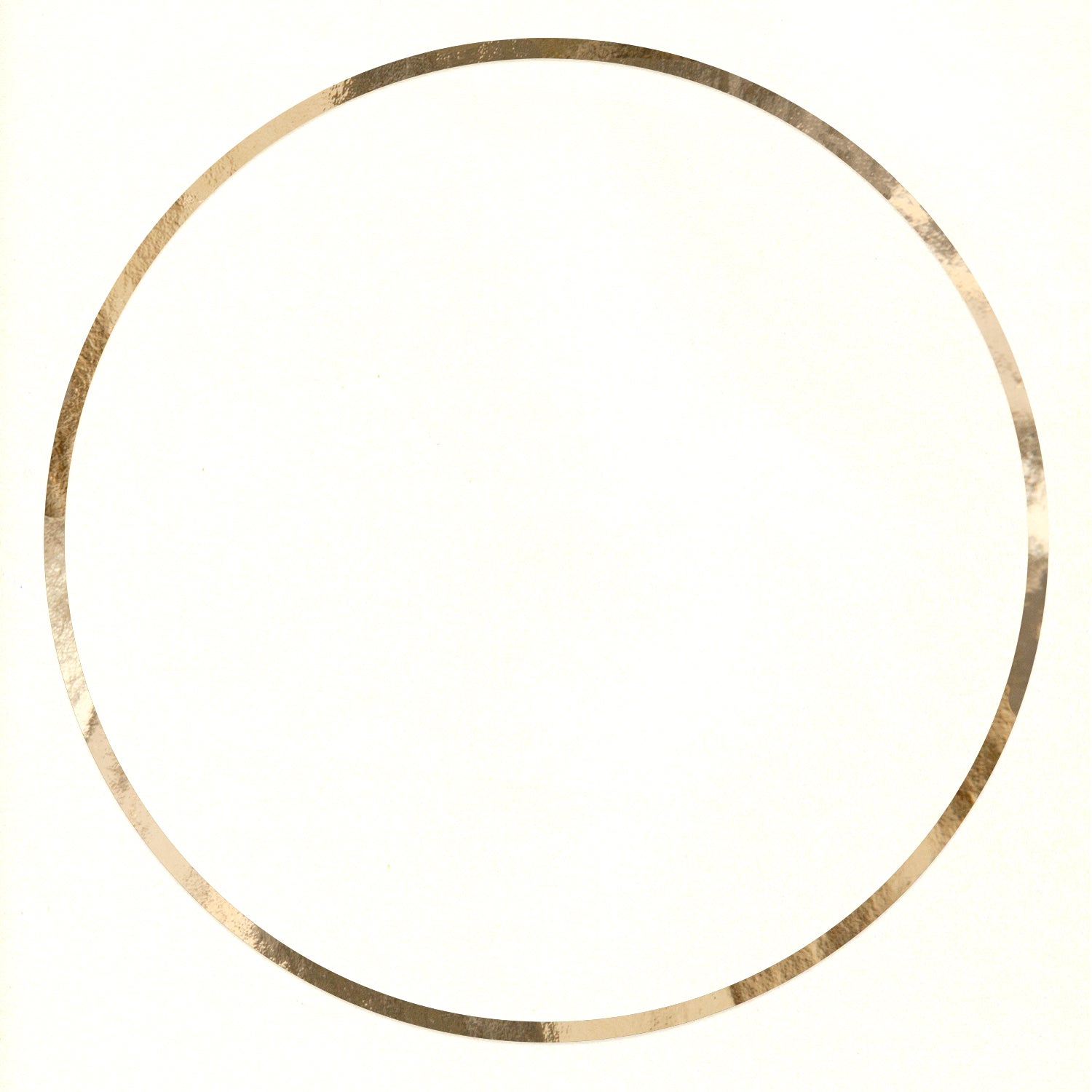 The Sentence Vinyl Record