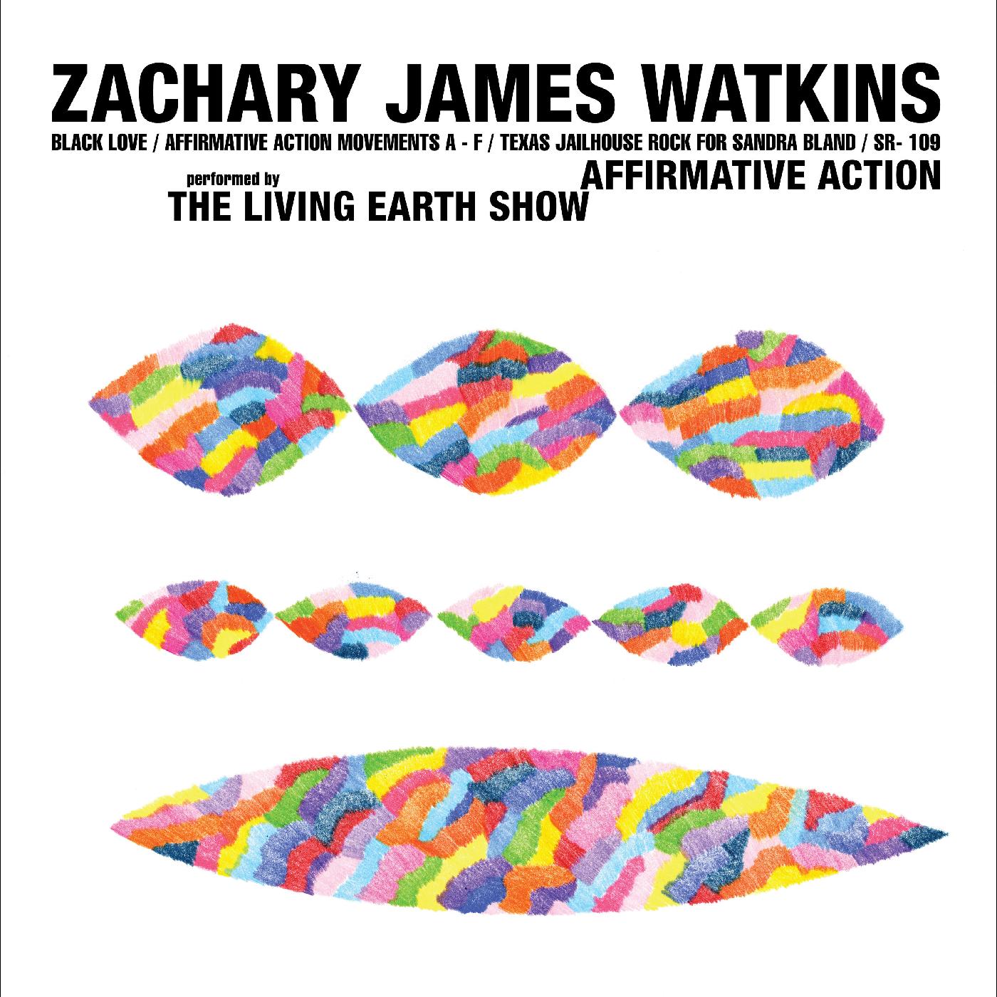 Affirmative Action Vinyl Record