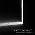 ZBIGNIEW PREISNER & LISA GERRARD - It's Not Too Late Vinyl Record