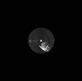 ZEITGEBER - Body Out Body In Vinyl Record