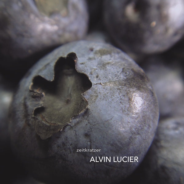 Alvin Lucier Vinyl Record