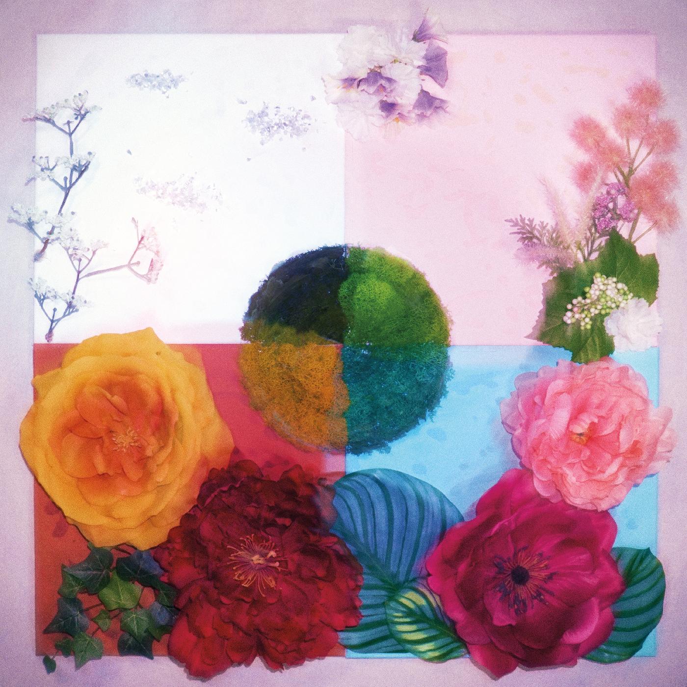 P.O.C (Proof of Concept) (LIMITED PINK & MAROON VINYL) Vinyl Record
