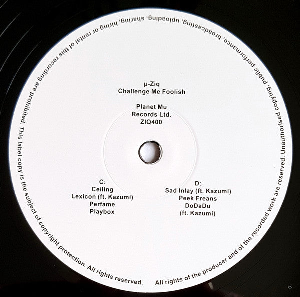 Challenge Me Foolish (2xVINYL) | Mint (M) Mint (M)