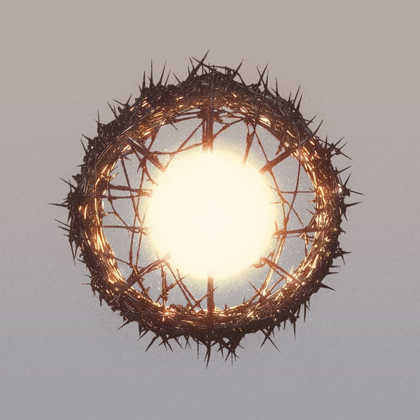 Home [Lp] |