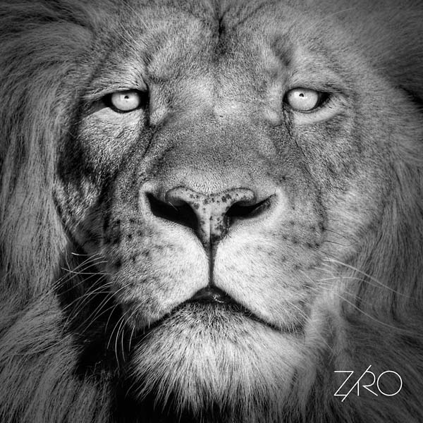 Lionheart |