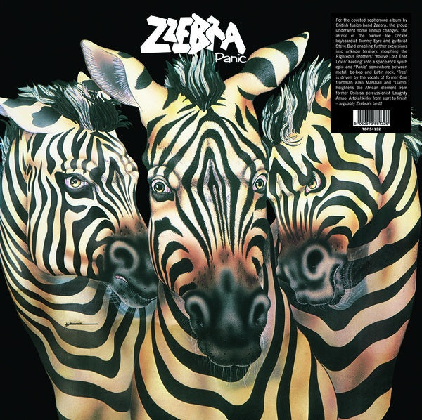 Panic Vinyl Record